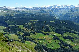 71514_8.jpg