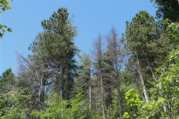 93504_8.jpg