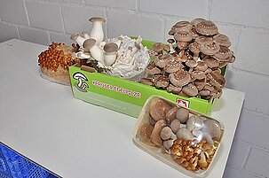 42837_8.jpg