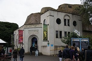 68771_8.jpg