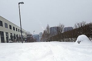 71233_8.jpg