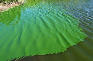 93478_8.jpg
