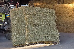 92041_8-1.jpg