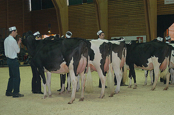25106_8.jpg