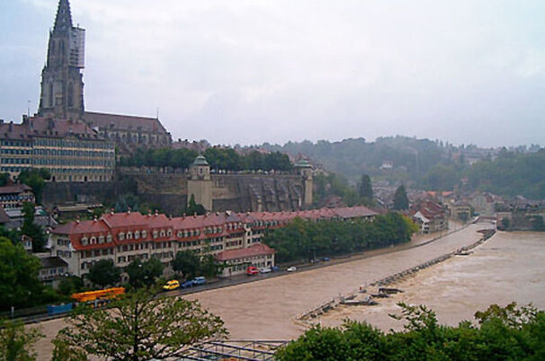 6965_8.jpg