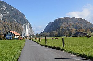 60390_8.jpg