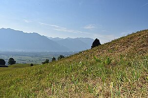 74479_8.jpg