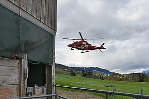 63382_8.jpg