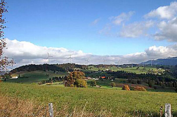 6584_8.jpg