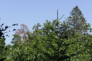 1f681dd1-2d30-f54a-41ea-5992538699a7-51991-scaled.jpeg
