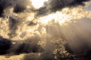 263d060c-bafa-f1c1-4da9-2b1d64b9034f-38964.jpeg