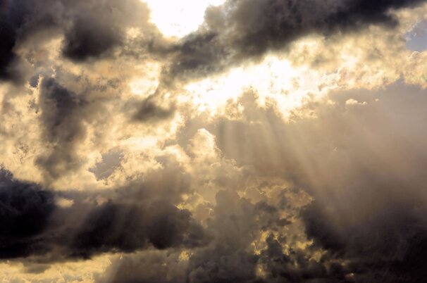263d060c-bafa-f1c1-4da9-2b1d64b9034f-38964.jpeg