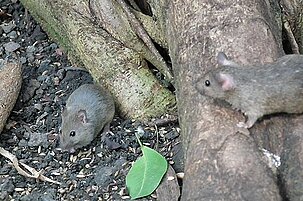 46074_8.jpg