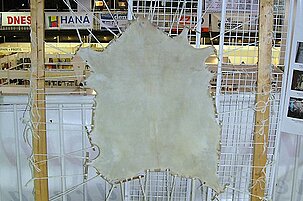 53584_8.jpg