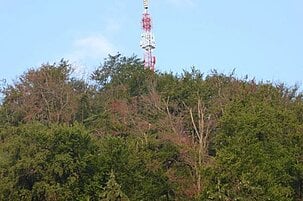 74242_8.jpg