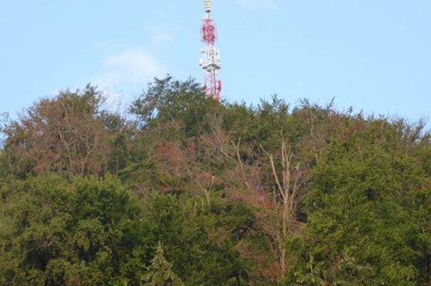 74242_8.jpg