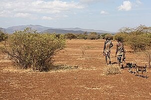 76080_8.jpg
