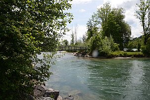 41239_8.jpg