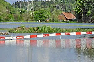 48593_8.jpg
