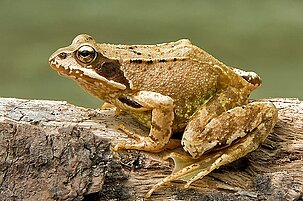 57830_8.jpg