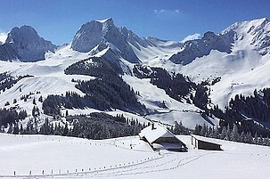 58826_8.jpg