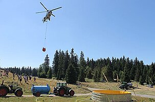 49721_8.jpg