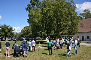 75067_8.jpg