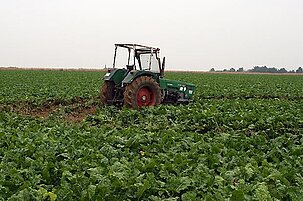 83325_8.jpg