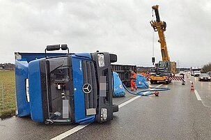 89245_8.jpg