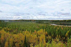 39186_8.jpg