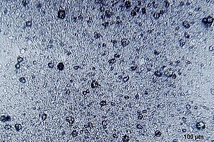 a290abb5-8625-768e-5df3-c60e4e4840e4-22049.jpeg