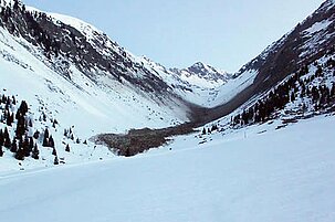 54079_8.jpg