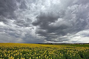 63033_8.jpg
