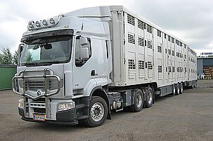 41077_8.jpg