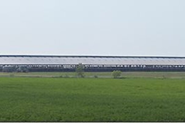 41480_8.jpg