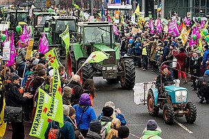 61135_8.jpg