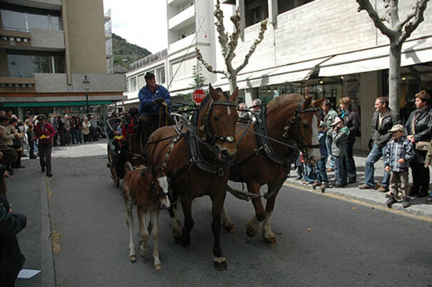 24152_8.jpg
