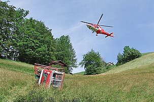 41487_8.jpg