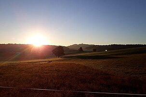 77163_8.jpg