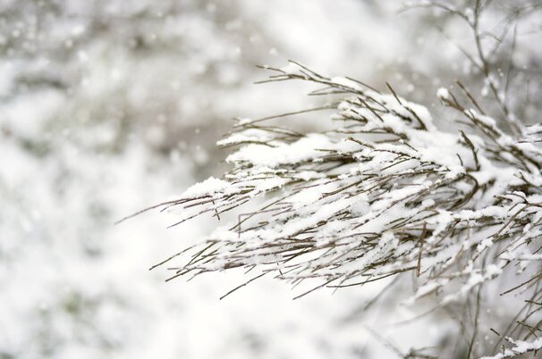 c81de96e-2cc6-87ba-0827-44d0d5ee89a5-14274.jpeg