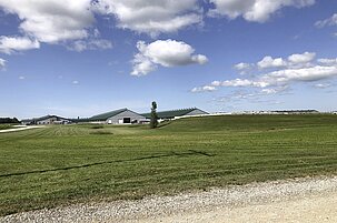 38bc109d-1361-ba37-0f2f-3d3fd46d79ea-50801-scaled.jpeg