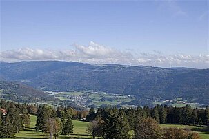 80291_8.jpg