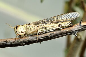 2bee15f2-70a7-c465-c0fe-6b55b9e80e80-65078-scaled.jpeg