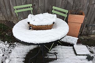 80936_8.jpg