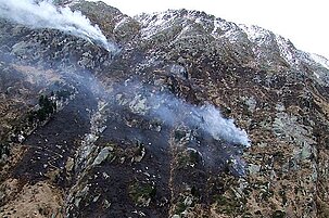 51570_8.jpg