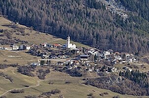 81914_8.jpg