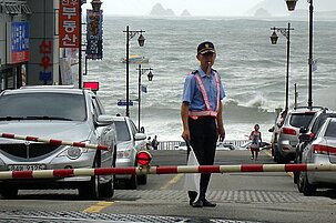 36690_8.jpg