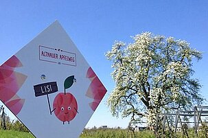 48386_8.jpg
