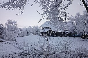 60132_8.jpg