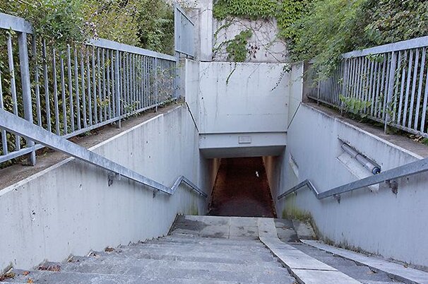 50763_8.jpg